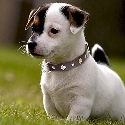 Нашийник за кучета ПЕТ ARTIST от естествена кожа клас Лукс-Ръчна изработка за кучета малки/средни породи от най-добрата естествена