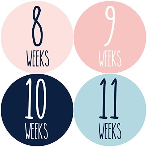 Месеци, в движение, Седмични стикери за растеж по време на бременност | Подпори за фотосесии на бременни от седмица на седмица |